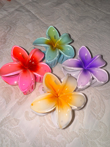 Pinzas Hawaianas 4 und