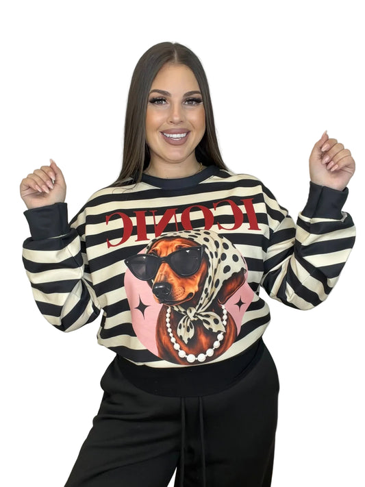 Sudadera Rayas Dogue