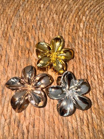 Pinzas Metalizadas 3 und