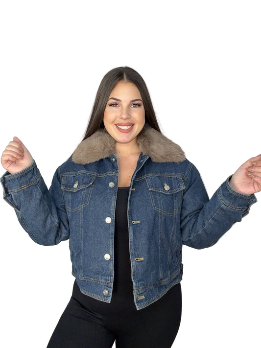 Chaqueta Maldivas Marron